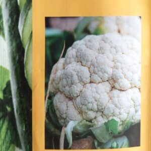 Cauliflower(kereta)