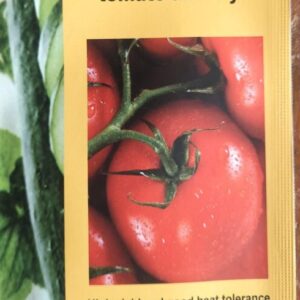 Tomato seed(Ananaya variety)